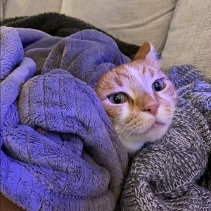 Meet your Posher, Nan